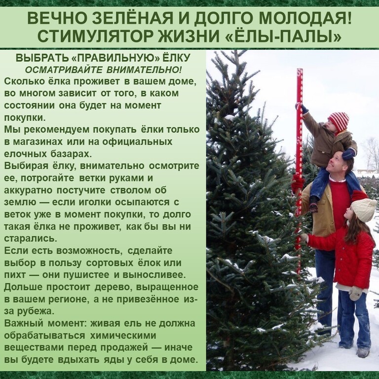 Как долго быть молодой