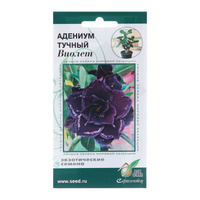 Семена цветов Адениум тучный "Виолет", 3 шт
