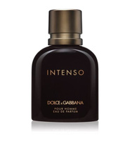 Парфюмированная вода Dolce & Gabbana Pour Homme Intenso, 125 мл