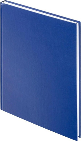 Блокнот Attache Ежедневник недатированный бумвинил А4 160 листов синий