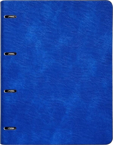 Бумажная продукция InFolio Тетрадь с кольцевым механизмом Turtle, синий, 120 листов, А4, клетка
