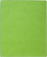Бумажная продукция Attache Бизнес-тетрадь Клэр А4 96 листов салатовая в клетку на сшивке