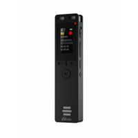 Диктофон RITMIX RR-155 16Gb Black 16Гб дисплей, FM-радио WAV MP3 стереозапись USB - Type-C черный Ritmix