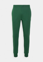 Спортивные брюки Lacoste, зеленый