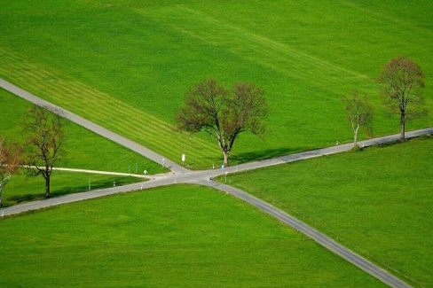 Семена для газона CANADA GREEN LANDSCAPE+