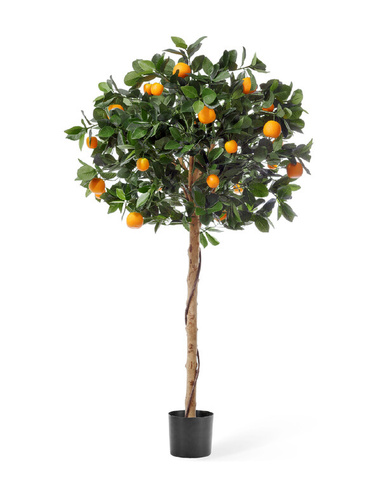 Мандарин Голден Оранж штамбовый в-120 см, д-60 см 2/2 10.42104N Treez